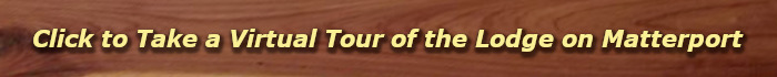 Take a Virtual Tour of the Lodge